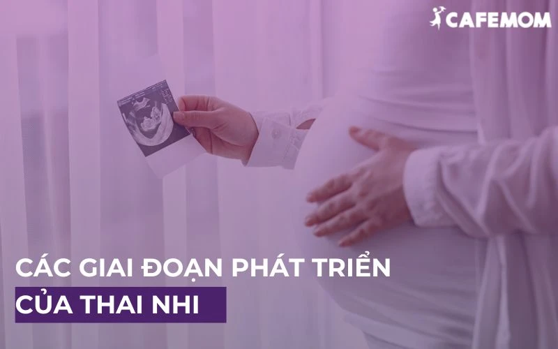 THEO DÕI VÀ TÌM HIỂU CÁC GIAI ĐOẠN PHÁT TRIỂN CỦA THAI NHI