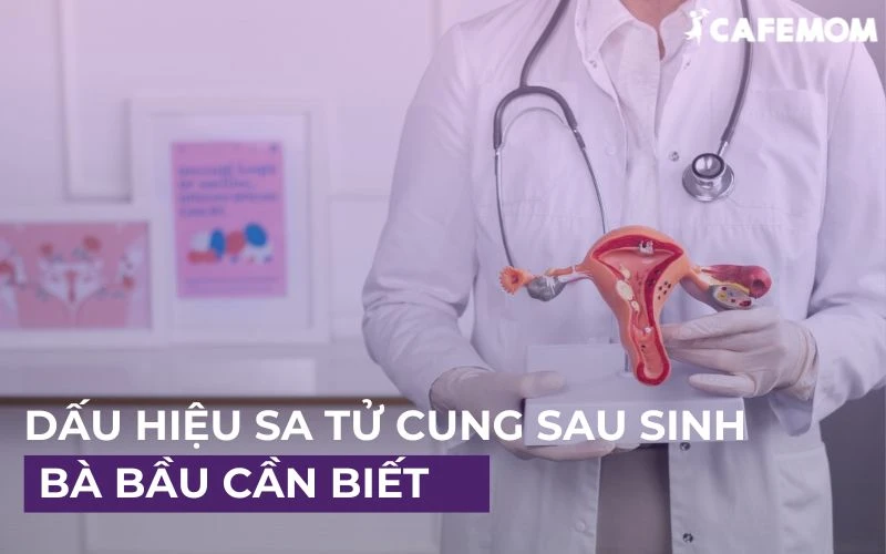 SA TỬ CUNG SAU SINH: DẤU HIỆU NHẬN BIẾT VÀ CÁCH ĐIỀU TRỊ