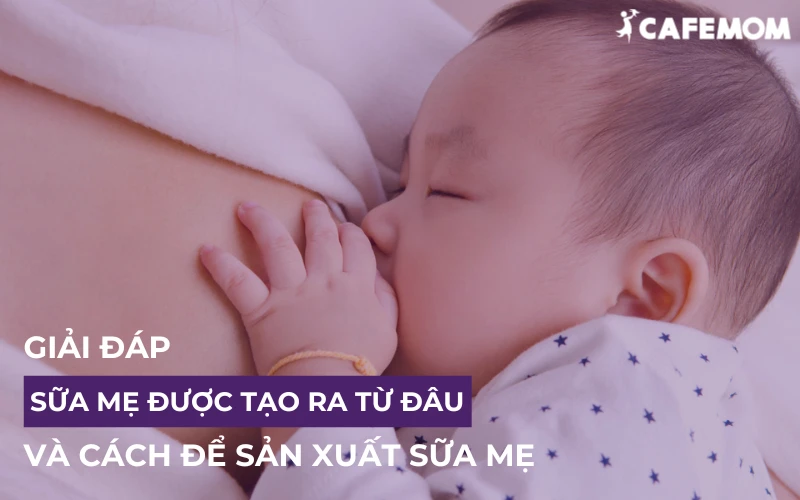 GIẢI ĐÁP SỮA MẸ ĐƯỢC TẠO RA TỪ ĐÂU VÀ CÁCH ĐỂ SẢN SINH SỮA MẸ