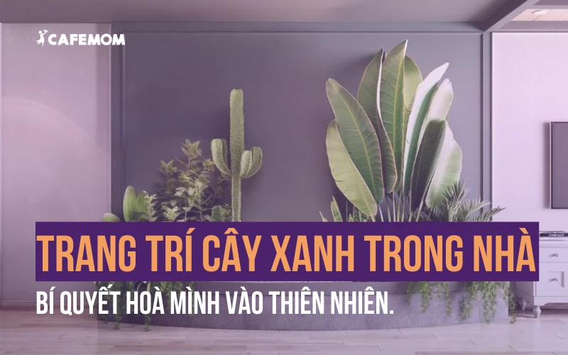 TRANG TRÍ CÂY XANH TRONG NHÀ - BÍ QUYẾT HOÀ MÌNH VÀO THIÊN NHIÊN