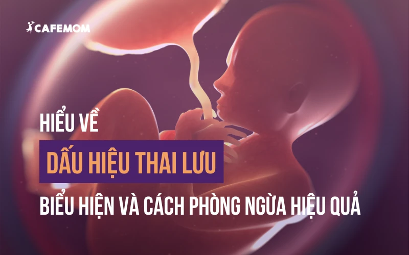 TỔNG HỢP 6 DẤU HIỆU THAI LƯU THƯỜNG GẶP: BIỂU HIỆN VÀ CÁCH PHÒNG NGỪA HIỆU QUẢ