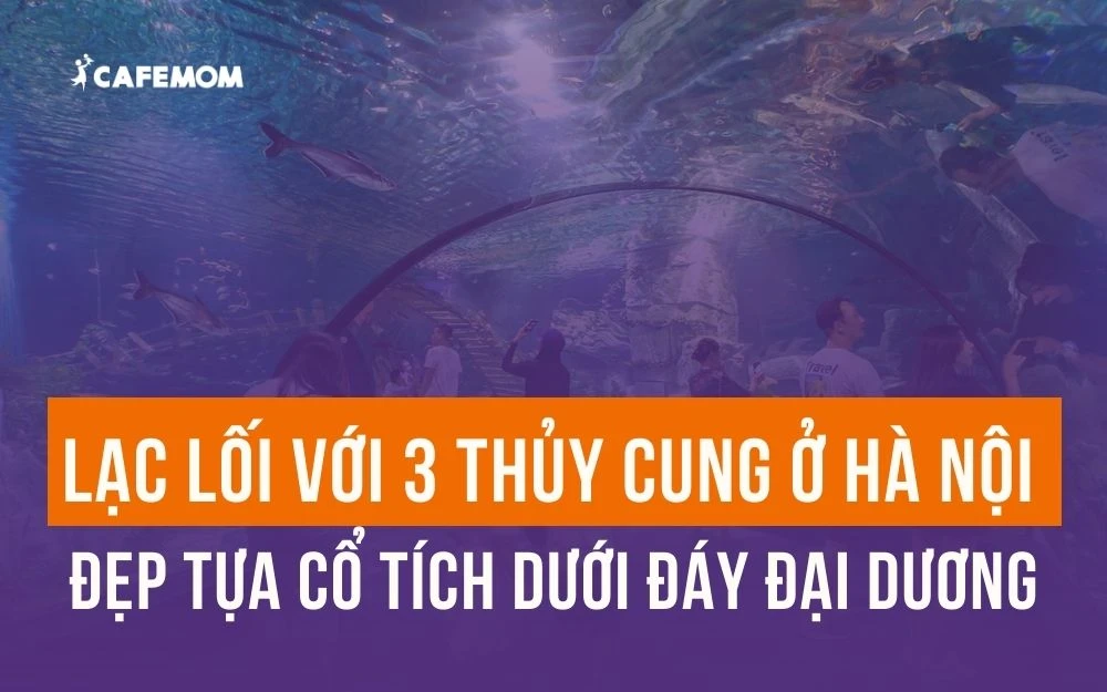 LẠC LỐI VỚI 3 THỦY CUNG Ở HÀ NỘI ĐẸP TỰA CỔ TÍCH DƯỚI ĐÁY ĐẠI DƯƠNG