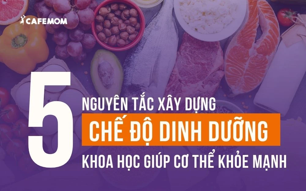 5 NGUYÊN TẮC XÂY DỰNG CHẾ ĐỘ DINH DƯỠNG KHOA HỌC GIÚP CƠ THỂ KHỎE MẠNH