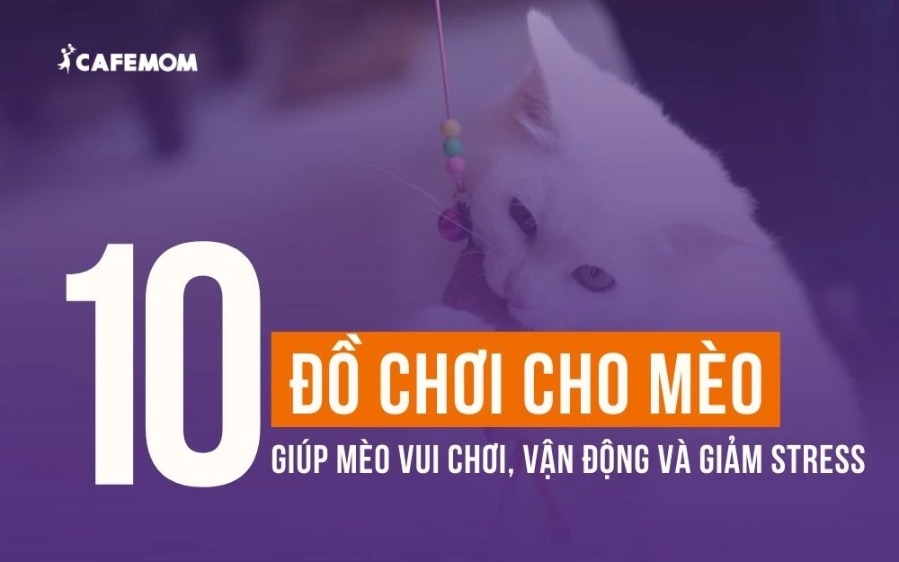 10+ ĐỒ CHƠI CHO MÈO GIÚP MÈO VUI CHƠI, VẬN ĐỘNG VÀ GIẢM STRESS