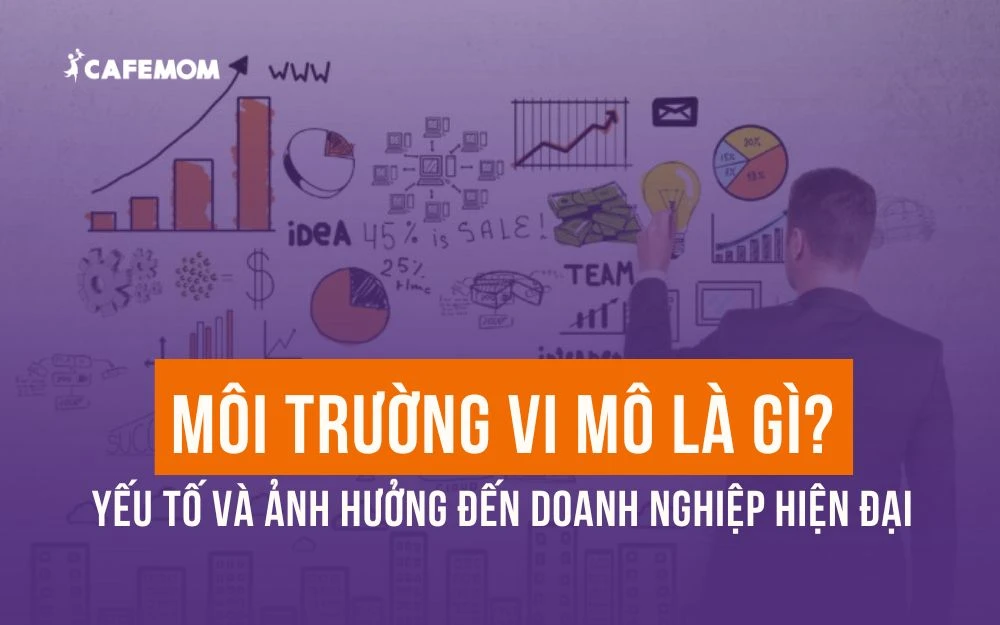 MÔI TRƯỜNG VI MÔ LÀ GÌ? YẾU TỐ VÀ ẢNH HƯỞNG ĐẾN DOANH NGHIỆP HIỆN ĐẠI
