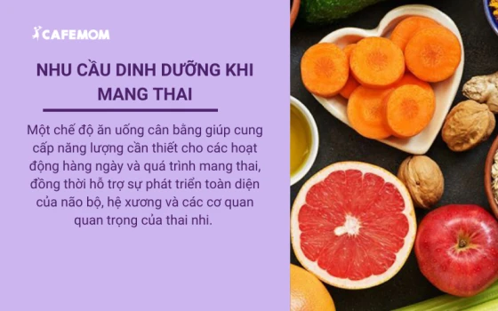 Nhu cầu dinh dưỡng khi mang thai