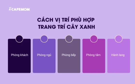 Các cách trang trí cây xanh trong nhà