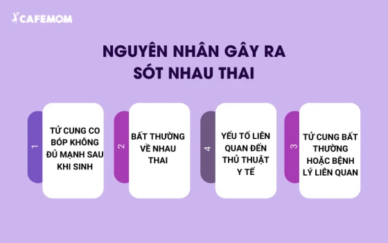 Nguyên nhân gây ra sót nhau thai