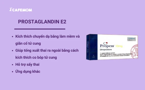 Prostaglandin E2