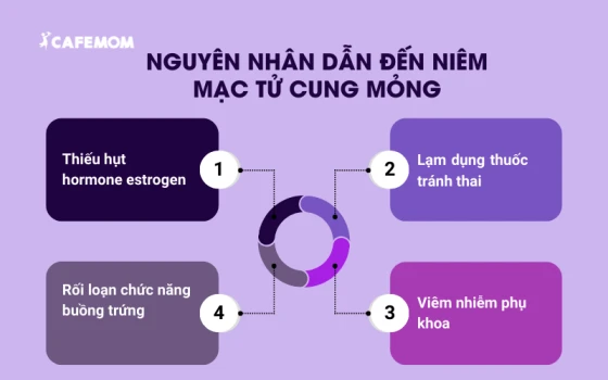 Nguyên nhân dẫn đến niêm mạc tử cung mỏng