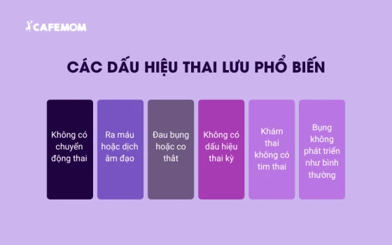 Dấu hiệu thai lưu: các dấu hiệu phổ biến