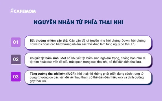 Các nguyên nhân từ thai nhi