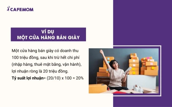 Ví dụ cách tính tỷ suất lợi nhuận trên doanh thu cho một cửa hàng bán giày