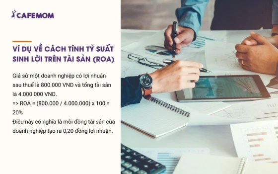 Ví dụ về cách tính tỷ suất sinh lời trên tài sản (ROA)