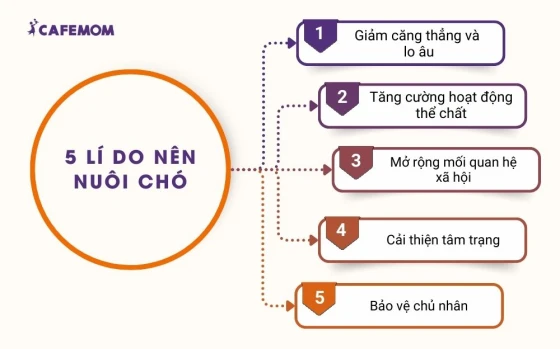 Nuôi chó mang lại niềm vui và lợi ích cho tinh thần