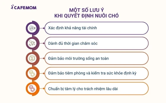 Một số lưu ý khi quyết định nuôi chó