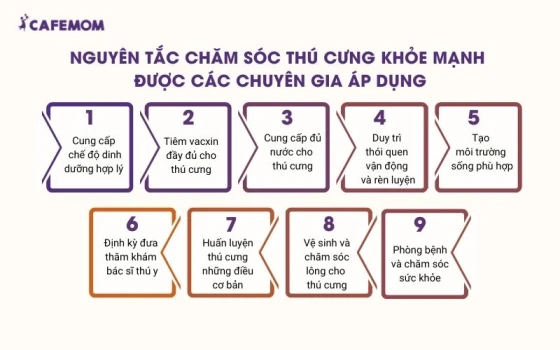 Các nguyên tắc chăm sóc thú cưng thường được chuyên gia áp dụng