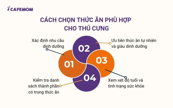 Các tiêu chí cần cân nhắc khi chọn thức ăn cho thú cưng