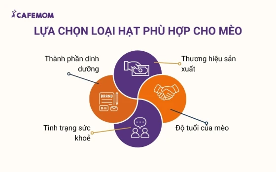 Lựa chọn loại hạt phù hợp cho mèo