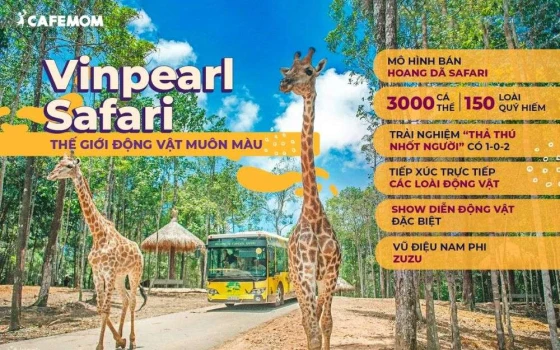 Công viên vui chơi giải trí Vinpearl Safari