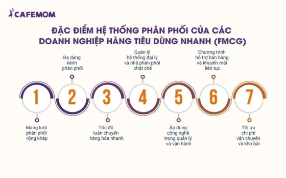 Một số đặc điểm chính của hệ thống phân phối FMCG