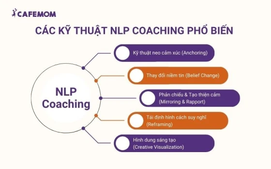 Các kỹ thuật coaching NLP quan trọng mà huấn luyện viên thường áp dụng