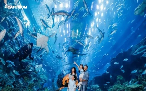 Thủy cung Vinpearl Aquarium tại Times City