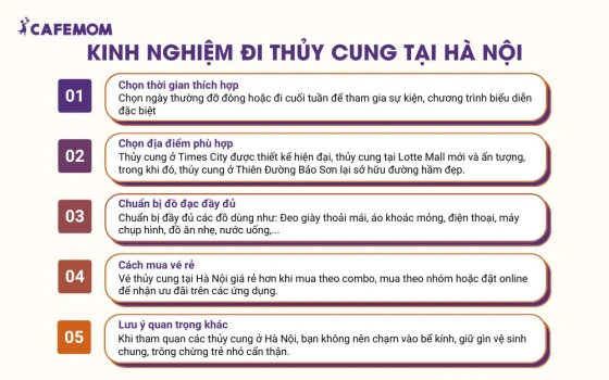 Kinh nghiệm đi thủy cung tại Hà Nội không thể bỏ qua