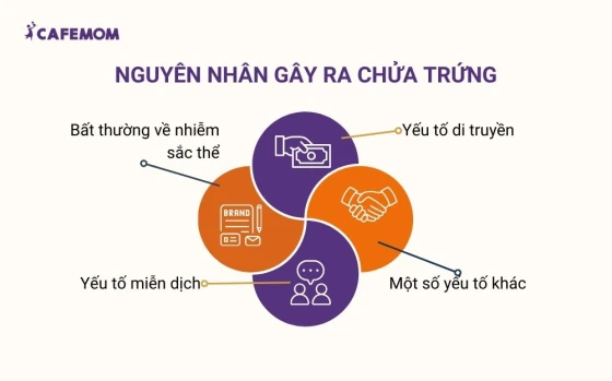 Nguyên nhân gây ra chửa trứng