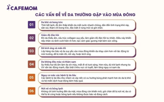 Làn da vào mùa Đông gặp rất nhiều vấn đề