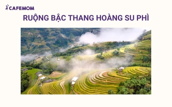 Ruộng Bậc Thang Hoàng Su Phì với những thửa ruộng uốn lượn theo triền núi