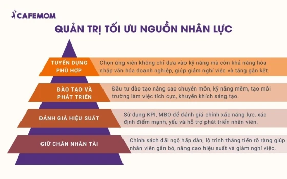 Quản trị tối ưu nguồn nhân lực