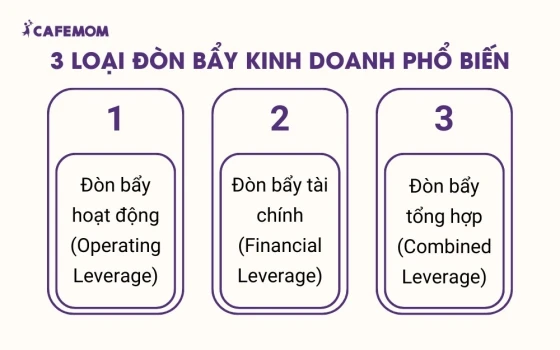 3 loại đòn bẩy kinh doanh phổ biến