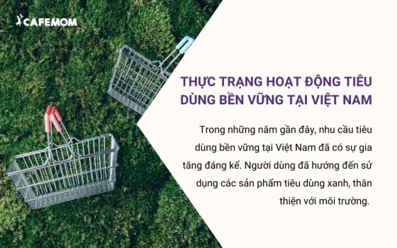 Thực trạng hoạt động tiêu dùng bền vững tại Việt Nam