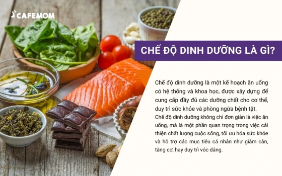 Chế độ dinh dưỡng là một kế hoạch ăn uống có hệ thống và khoa học