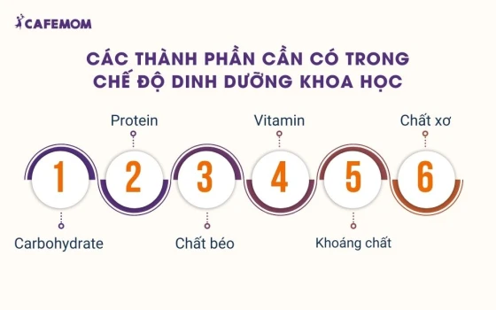 Các thành phần cần có trong chế độ dinh dưỡng khoa học