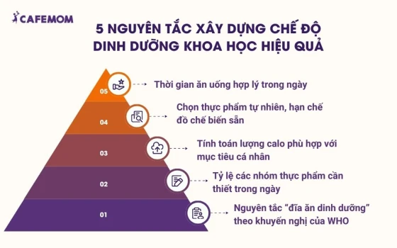 5 Nguyên tắc xây dựng chế độ dinh dưỡng khoa học hiệu quả