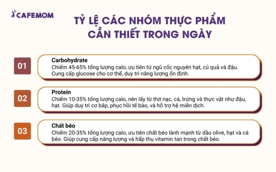 Tỷ lệ các nhóm thực phẩm cần thiết trong ngày