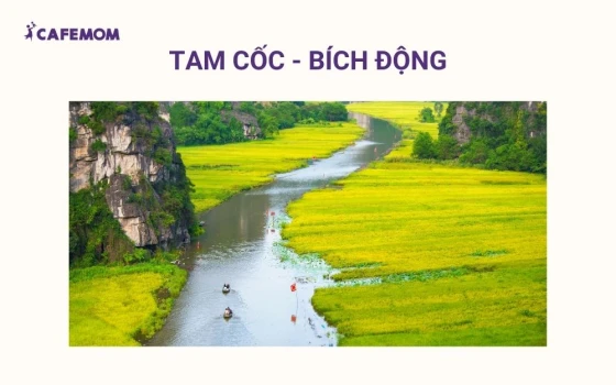 Tam Cốc - Bích Động là một trong những danh thắng đẹp nhất Ninh Bình