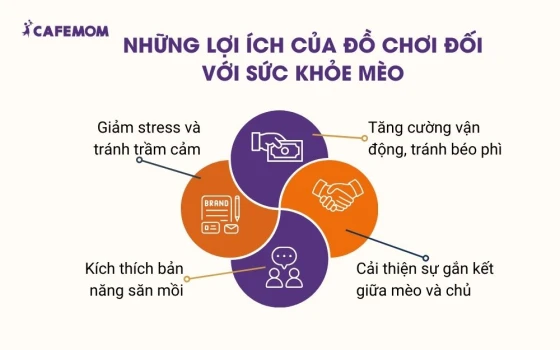 Những lợi ích của đồ chơi đối với sức khỏe mèo