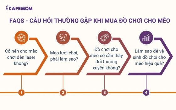 Câu hỏi thường gặp khi mua đồ chơi cho mèo