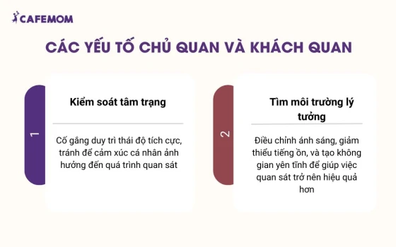 Các yếu tố chủ quan và khách quan