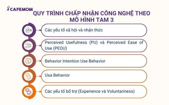 Quy trình chấp nhận công nghệ theo mô hình TAM 3