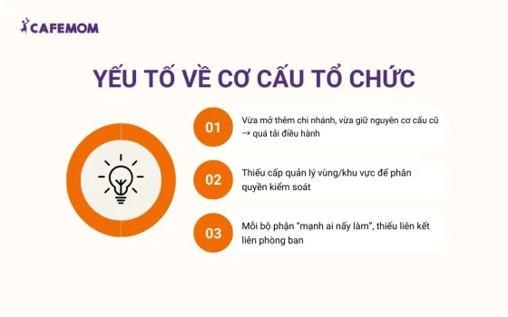 Yếu tố về cơ cấu tổ chức